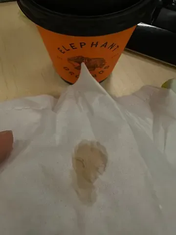 Elephant Grounds - OpenRice 相片
