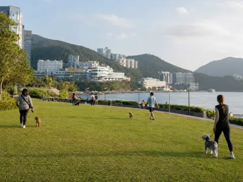香港數碼港海濱公園的寵物友善草地