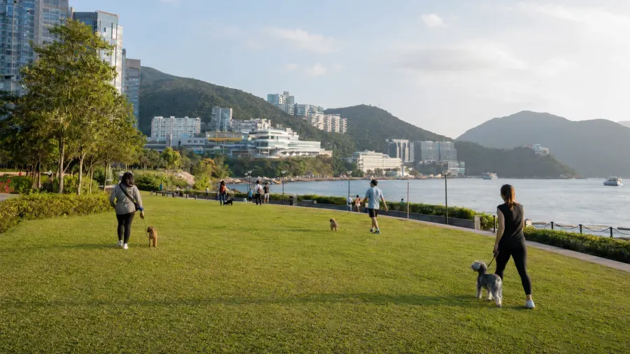 數碼港海濱公園