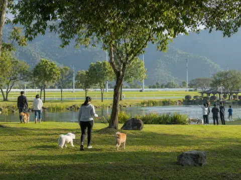 Open parkland — a stand-in for the wide views seen on KMB's pet-friendly day routes