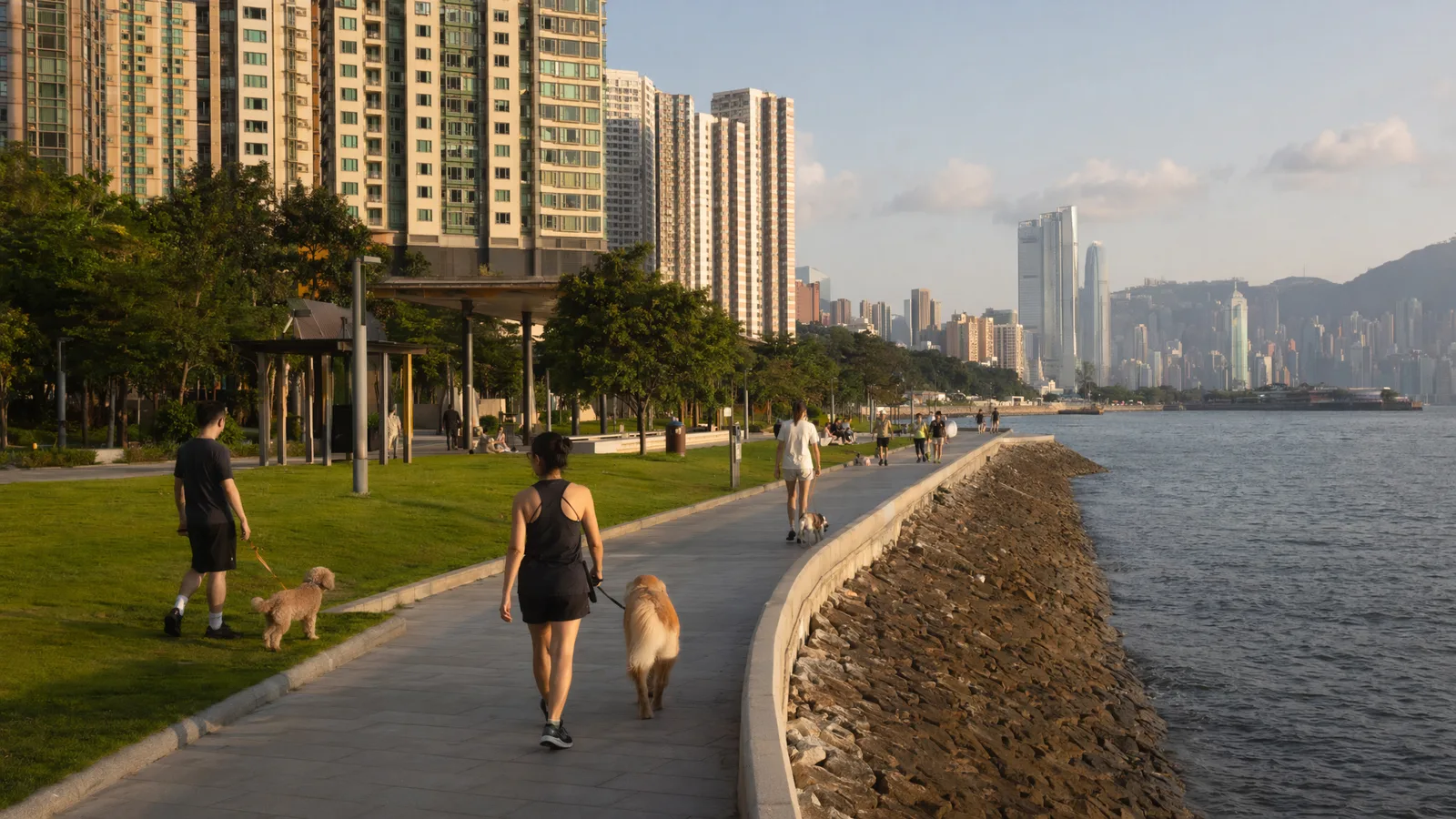 Harbour view typical of HKDR outreach events